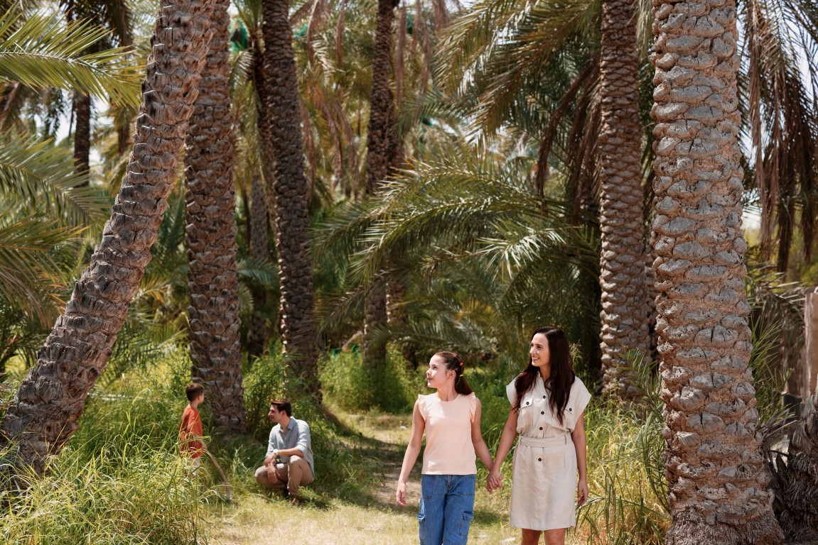 Al Ain Oasis
